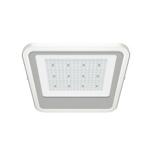 Atex 100W LED Canopy Light with Surface Mounted